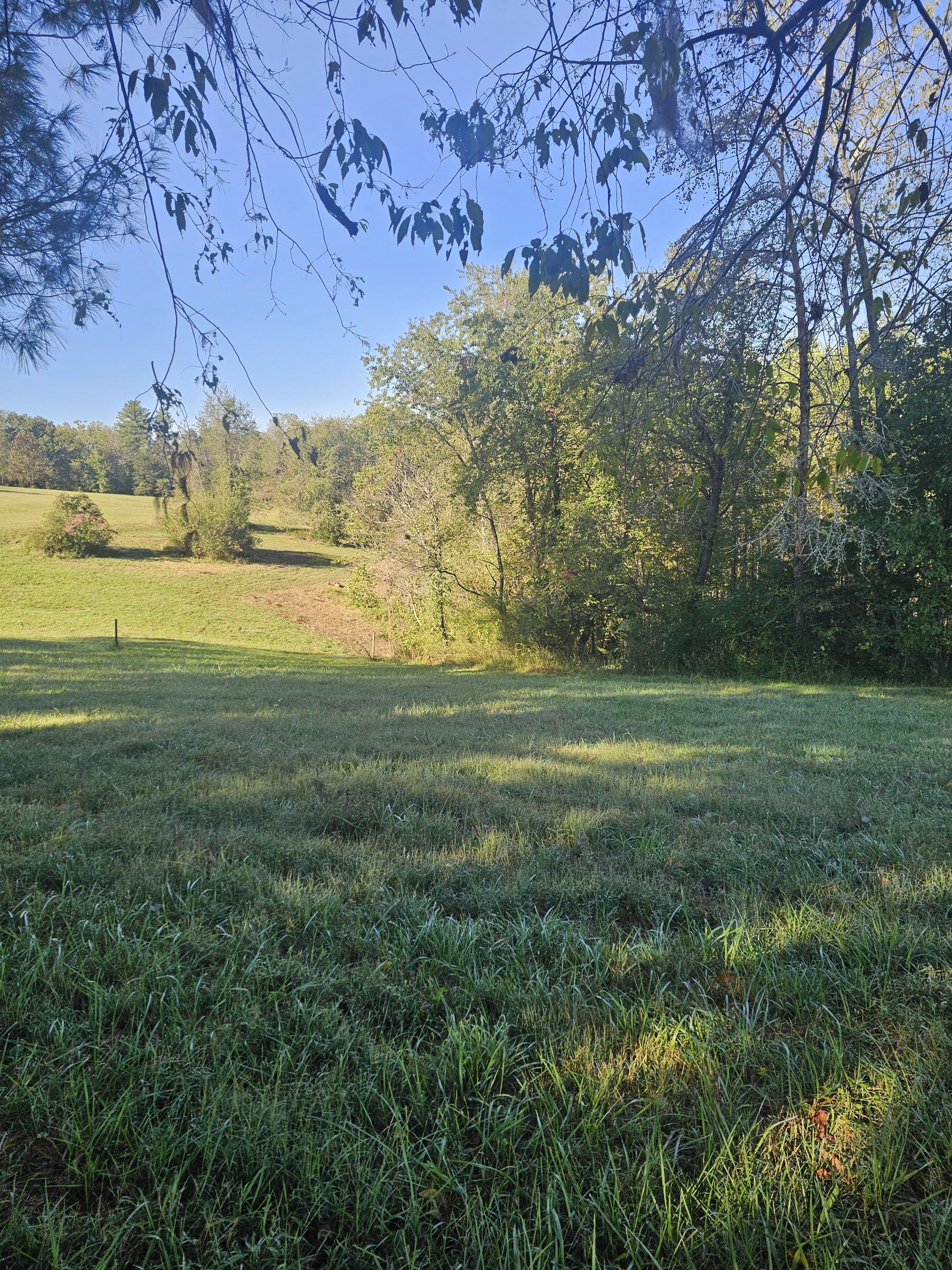 Before pond construction: Overgrown land in Stokes County, NC before pond building service